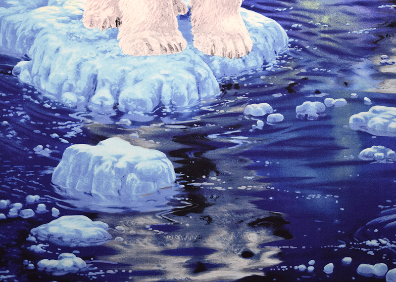 _panel,reflection_lores