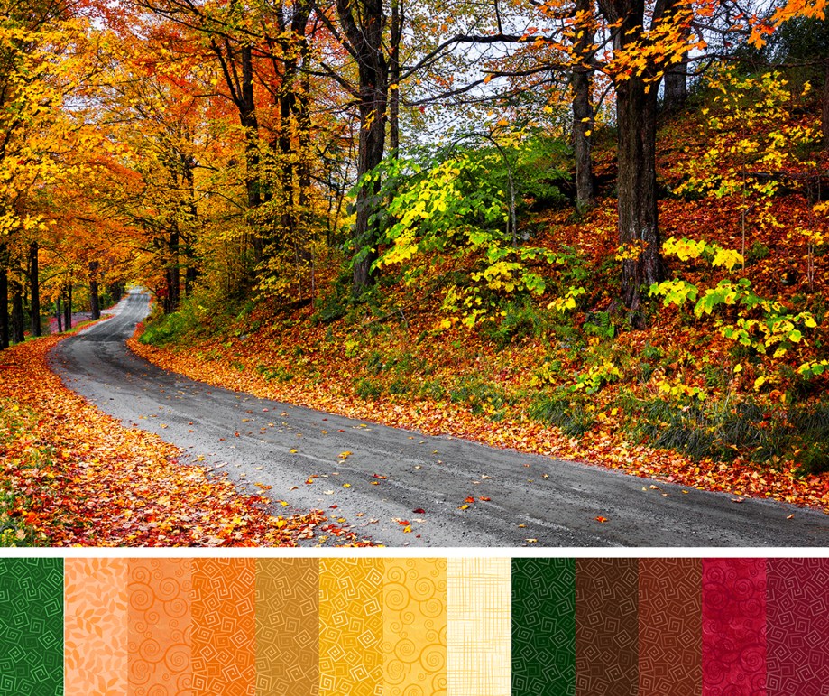 Fall in New England winding road with colorful leaves. Vermont